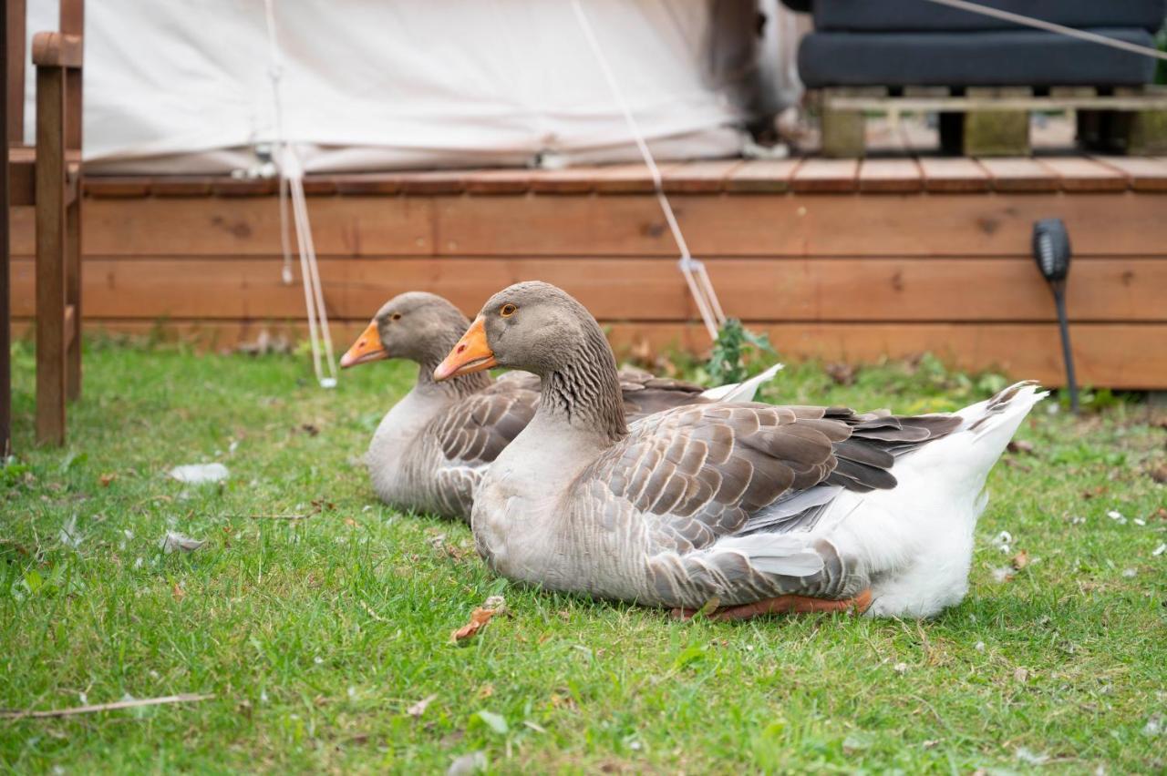 Bed and Breakfast Skortskaer Bondegardsferie Havnsø Zewnętrze zdjęcie